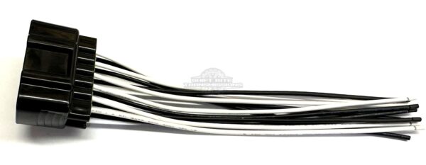 Automotive electrical connector with multiple black and white wires